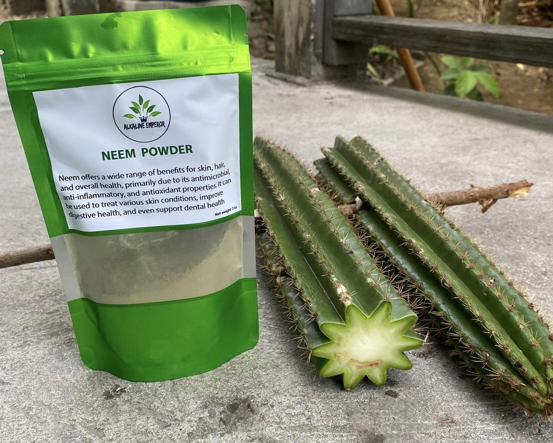Neem Powder with fresh cactus - Natural wellness